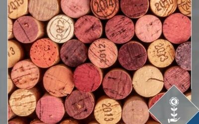 Eine kluge Investitionsentscheidung ist wie ein guter Wein